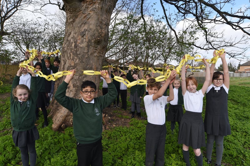 Pupils at Woodston primary school hanging yellow paper chains around  trees on the school field to remember one year since the first Covid 19 lockdown. EMN-210323-153033009