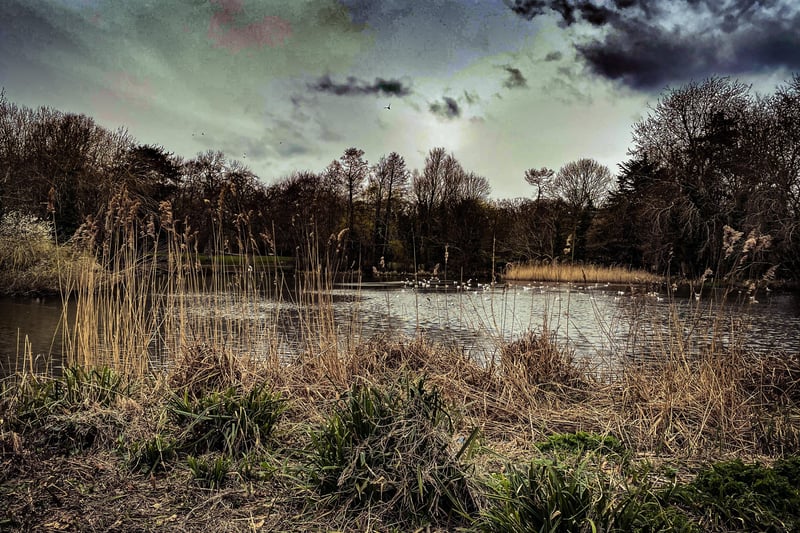 Stella Ann Ward took this shot of Decoy Pond whilst out for a walk in Hampden Park. SUS-210704-144440001
