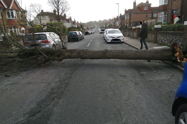 A fallen tree in Dillingburgh Road due to Storm Eunice SUS-220218-141915001