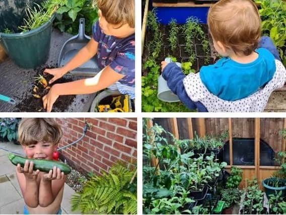 Four-year-old Douglas and two-year-old Hartley have been growing plants and vegetables to raise money for ZSL Whipsnade Zoo