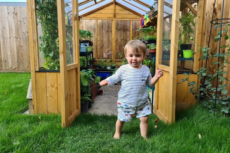 Two-year-old Hartley has been helping to grow vegetables and plants in the garden