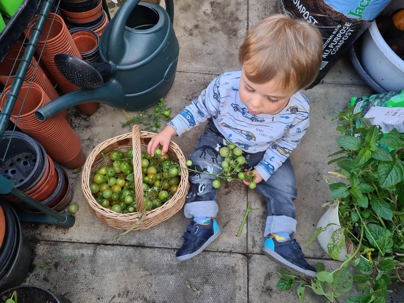 Hartley likes to help pick the vegetables
