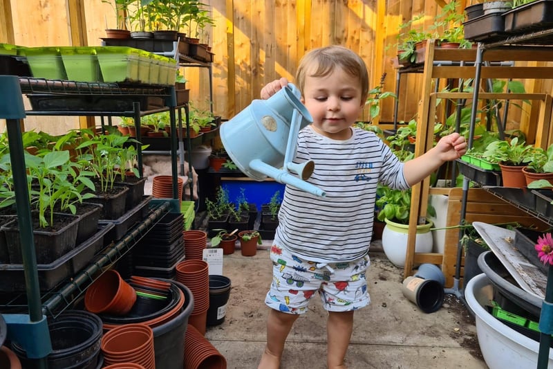 Two-year-old Hartley also helps with the watering