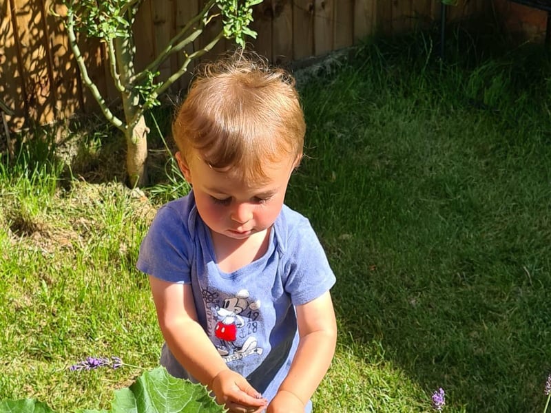 Two-year-old Hartley