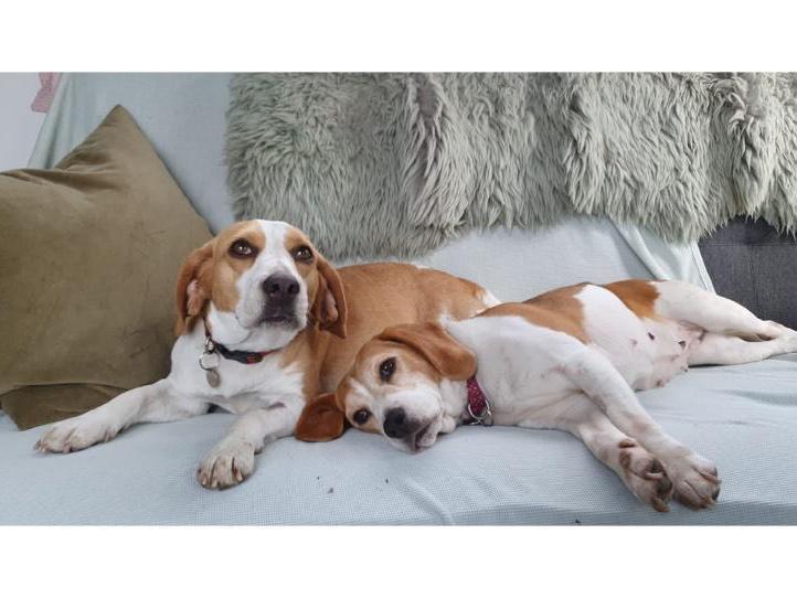 Lottie and Lola