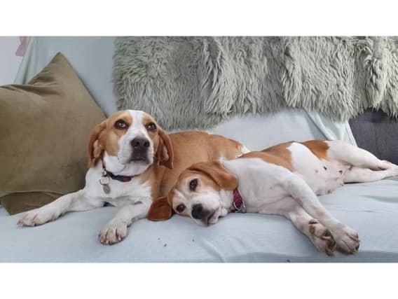 Lottie and Lola