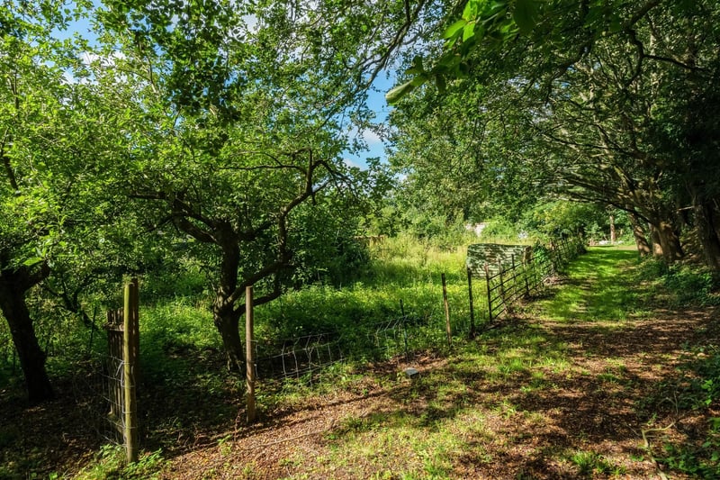 The garden is mainly laid to lawn, surrounded by mature hedgerows and trees, with a small kitchen garden and fruit trees. Picture: Savills Haywards Heath.