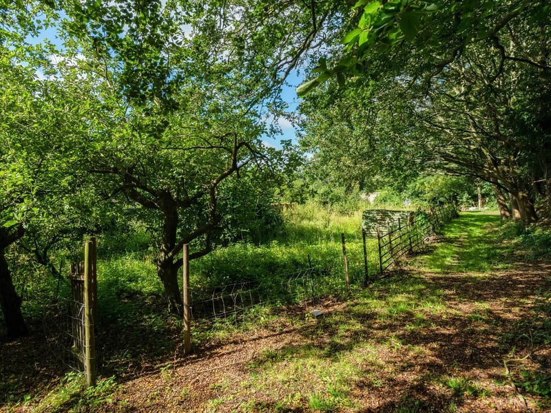 The garden is mainly laid to lawn, surrounded by mature hedgerows and trees, with a small kitchen garden and fruit trees. Picture: Savills Haywards Heath.