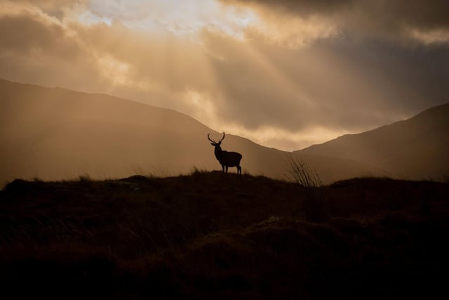 The sun was low in the sky when Dean Allan was able to capture these spectacular pictures.