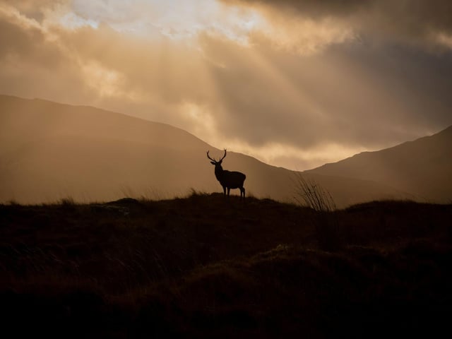 The sun was low in the sky when Dean Allan was able to capture these spectacular pictures.