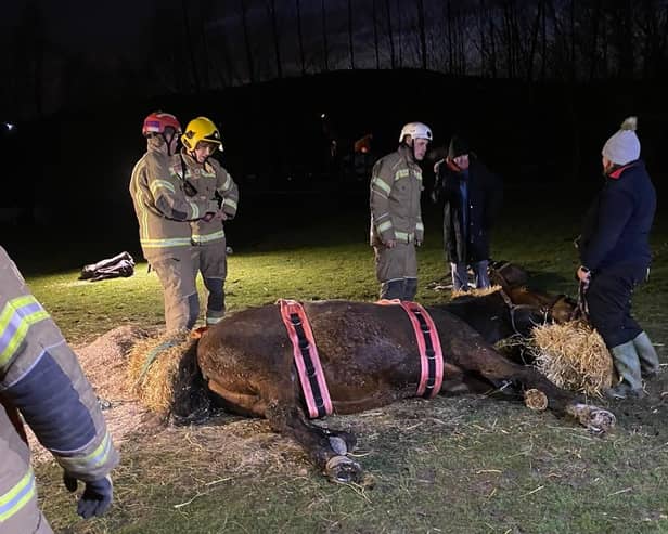 Alfreton Community Fire Station shared pictures on its Facebook page of the operation to help Stella the horse get back on her feet.