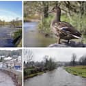 Sewage has been discharged into Derbyshire rivers on more than 13,000 occasions in 12 months.