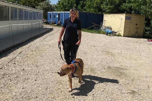 Kim Bestwick, of the Chesterfied and North Derbyshire branch of the RSPCA.