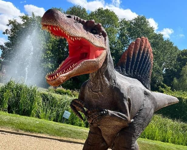Dinosaurs will roar into Midland Railway's centre at Swanwick Junction on July 8 and 9, 2023.