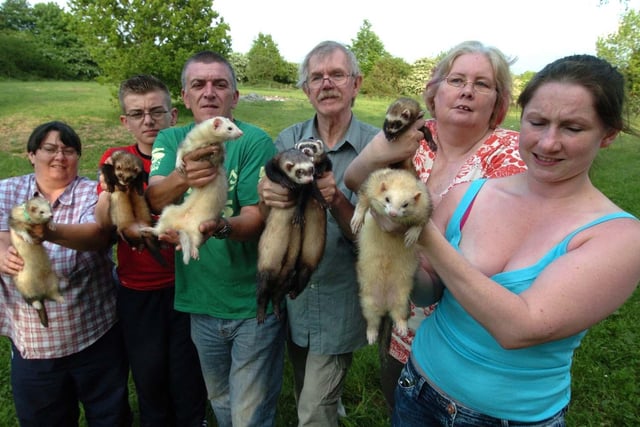 Chesterfield Ferret Club members Dawn King, Lewis Spooner, Shaun Spooner, Bruce Booth, Jackie Bellamy-Lee and Natalie Carter with their furry friends at the New Inn, Hasland in 2010.