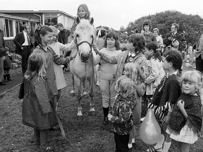 Windmill Ridge School's garden party - did you attend?