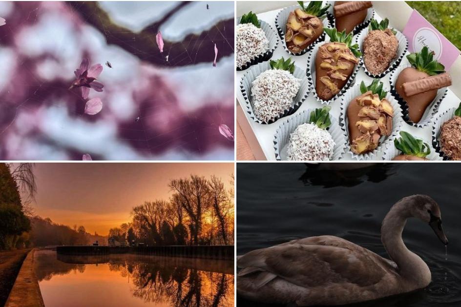 10 great photos of Doncaster.