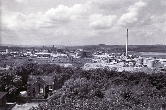 Staveley Chemicals - 30th June 1982