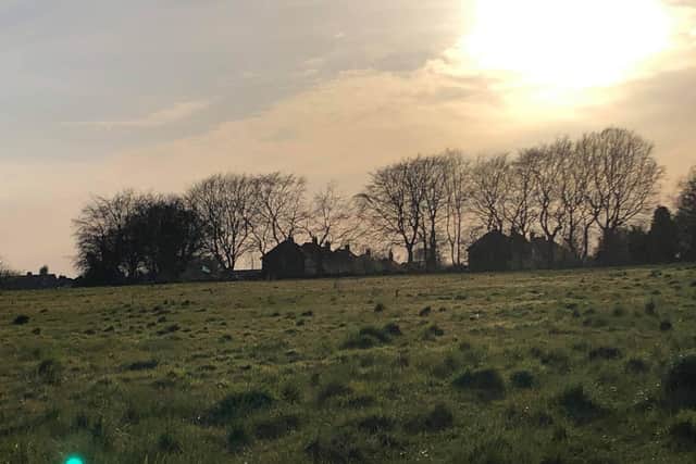 The controversial site for 62 homes at Glapwell.