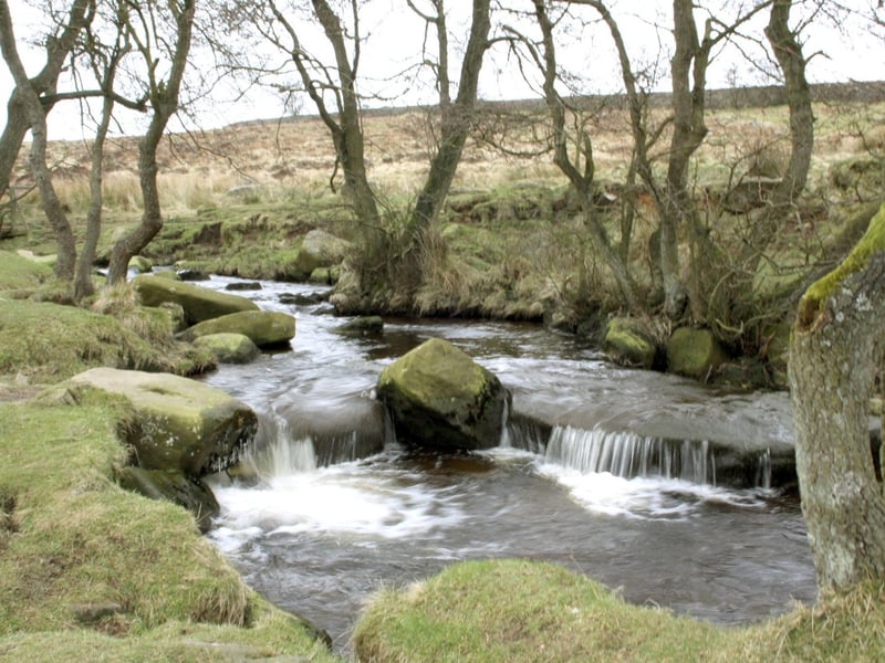 Near to the Longshaw Estate this gorge has gentle streams and tumbling waterfalls in a woodland setting, perfect for a spring hike.