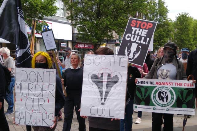 Activists say the badger cull is inhumane and unnecessary when alternatives such as vaccination are available.