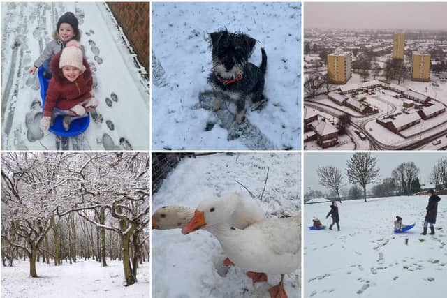 Click through this article to see lovely snow photos.