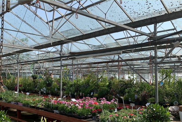 Glapwell Nurseries, Glapwell Lane, Glapwell, Chesterfield, S44 5PY. Rating: 4.6/5 (based on 634 Google Reviews).