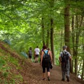 Could you stretch to a spectacular 25-mile hike for charity this September?