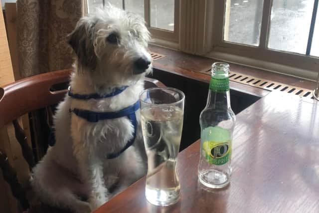 Four-legged friends are assured of a warm welcome at The Cavendish Hotel in Bolsover.