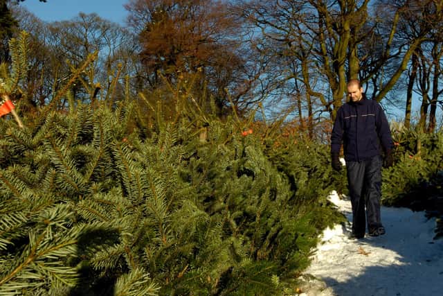 The Longshaw Estate sells Christmas trees to the public.