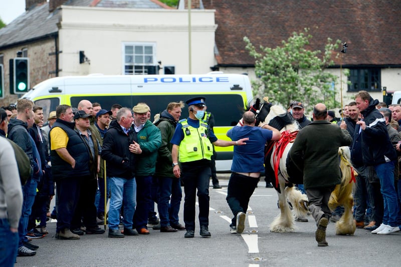 A large crowd turned up for the Wickham Horse Fair today despite it being cancelled. Picture: Roger Arbon/Solent News & Photo Agency