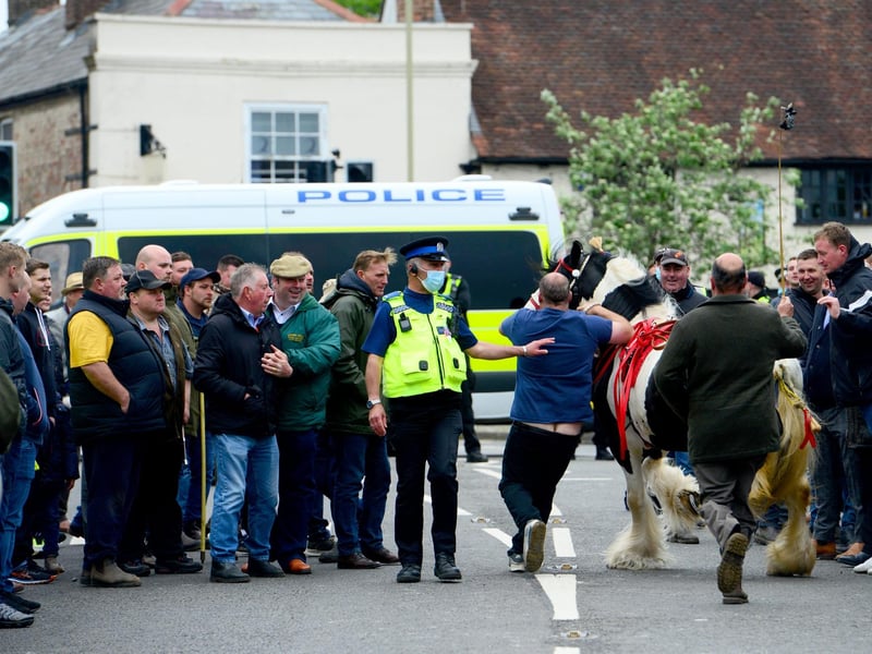 A large crowd turned up for the Wickham Horse Fair today despite it being cancelled. Picture: Roger Arbon/Solent News & Photo Agency
