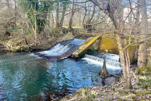 The project will bypass the weir near Turnditch and create a route for fish migration all the way up the Ecclesbourne. (Photo: Jennifer Kril/Derbyshire Wildife Trust)