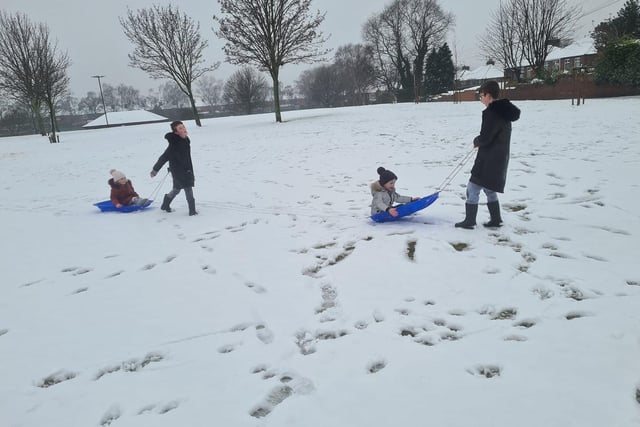 Perfect weather for sledging. From Cherie Reynolds.
