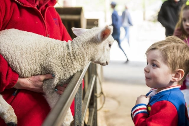 Enjoy a family day out at Chatsworth from March 28 to April 14 when there will be animal handling and feeding, crafts and tractor and trailer rides. Easter egg hunts will run from March 28 to April 1 - maybe you'll find a golden egg and win a special prize!  Easter egg hunt tickets are included in the price of admission to the farmyard and playground. For further details, go to www.chatsworth.org.