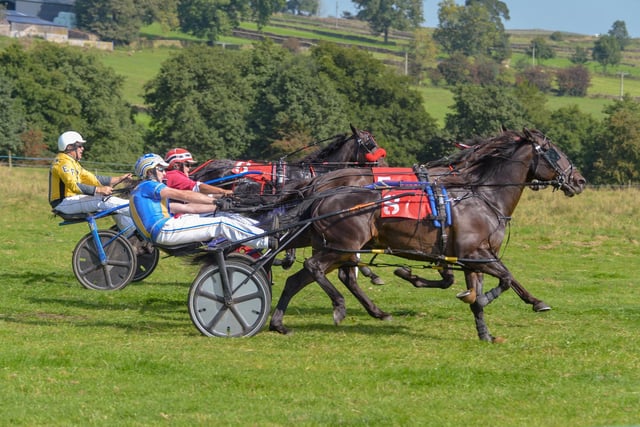 Trotters in the driving seat at Longnor Races. Photo Brian Eyre