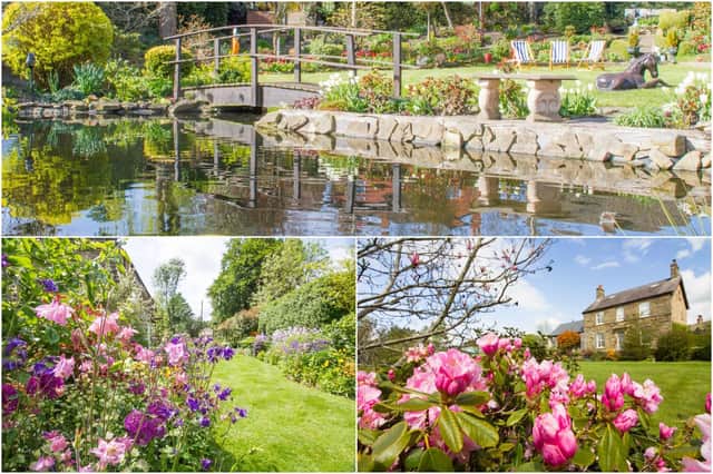 Beautiful gardens in Derbyshire that are supporting the National Garden Scheme by hosting public open days.