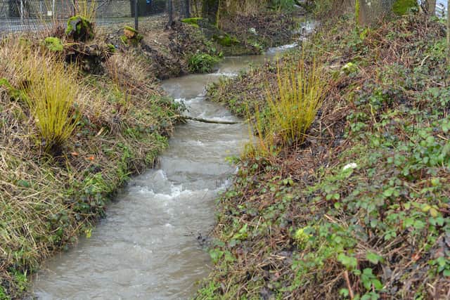 Tideswell Brook next to the B6049 and Severn Trent building.