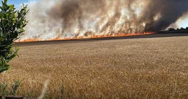 The blaze which affected standing crops and woodland at Creswell (photo: Martyn Dougie Macdougall)