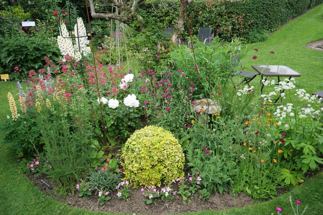 The garden has many different areas, with each one offering a variety of species of plants and shrubs.