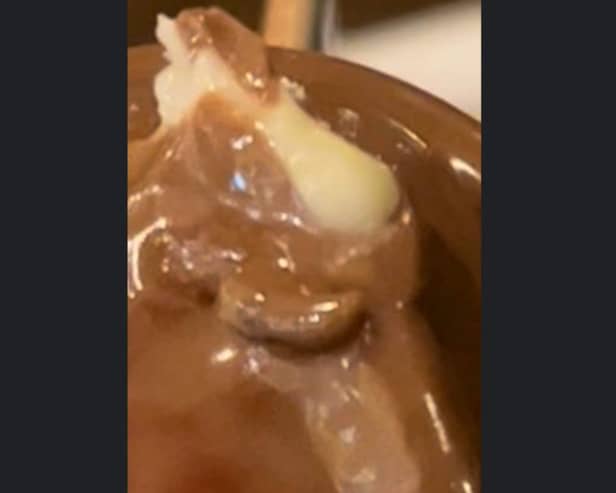 Picture shows the maggot Sophie Wilson claims she found in her dessert at 39 Desserts in Sheffield.