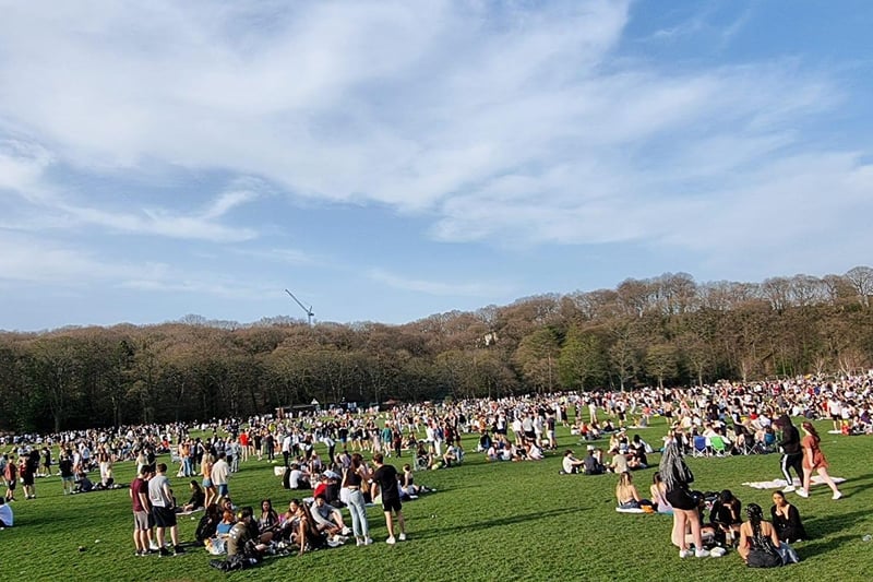 The rape was one of a number of incidents reported in the park after crowds gathered on Tuesday. There was also violence, fires and vandalism to a war memorial.
