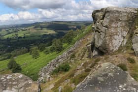 Peak District National Park Authority leaders say the £440,000 Defra grant will not keep the organisation's finances away from the cliff edge in the long term.
