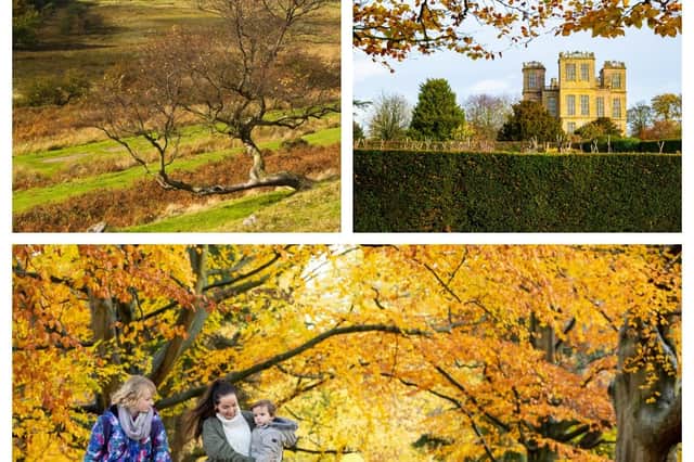 Autumn walks in Derbyshire with the National Trust