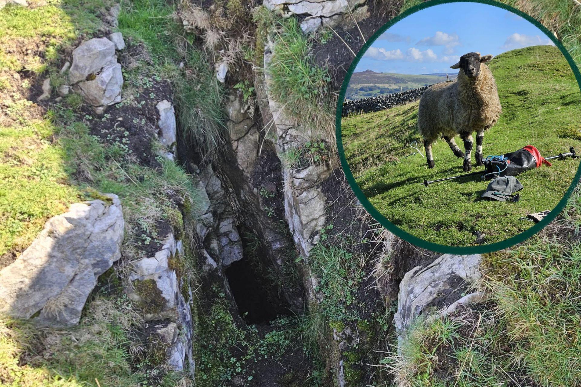 Cavers called to rock ‘that baaa-ed' rescue sheep stuck near popular ...