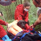 Edale Mountain Rescue Team lent a helping hand after Jess the Labrador became unwell and unable to continue her walk