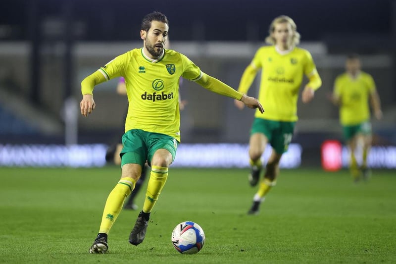 Has dropped out of Norwich's starting XI in recent weeks, but the 31-year-old has still been a key player in the Canaries' promotion-winning campaign. The Bosnian has often operated in the No 10 position where he can find pockets of space in the final third.