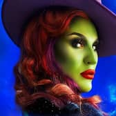 The Vivienne will play The Wicked Witch of the West in The Wizard of Oz touring to Sheffield Lyceum and Nottingham Theatre Royal in 2024.