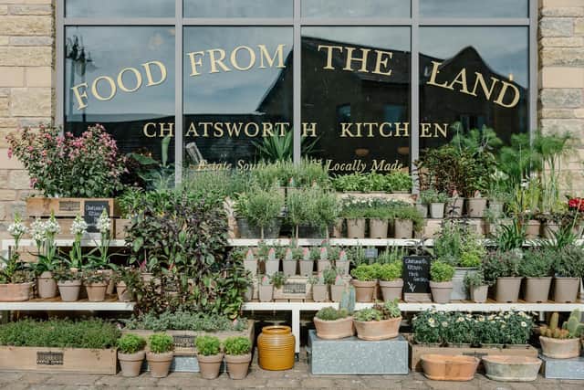 Chatsworth Kitchen has opened at Peak Village retail centre, Rowsley (photo: India Hobson/Haarkon)