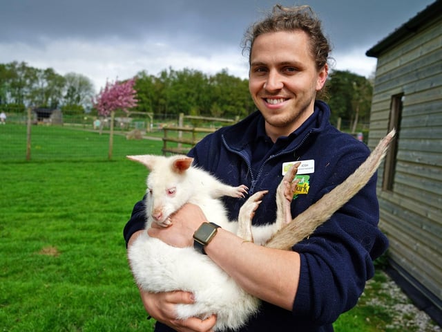 21 pictures show adorable animals and family activities at Matlock Farm ...